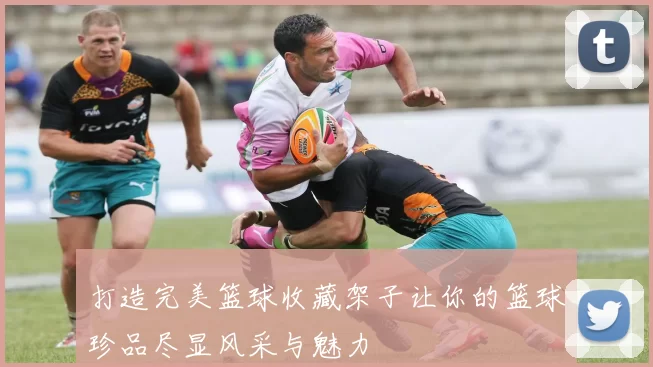 打造完美篮球收藏架子让你的篮球珍品尽显风采与魅力